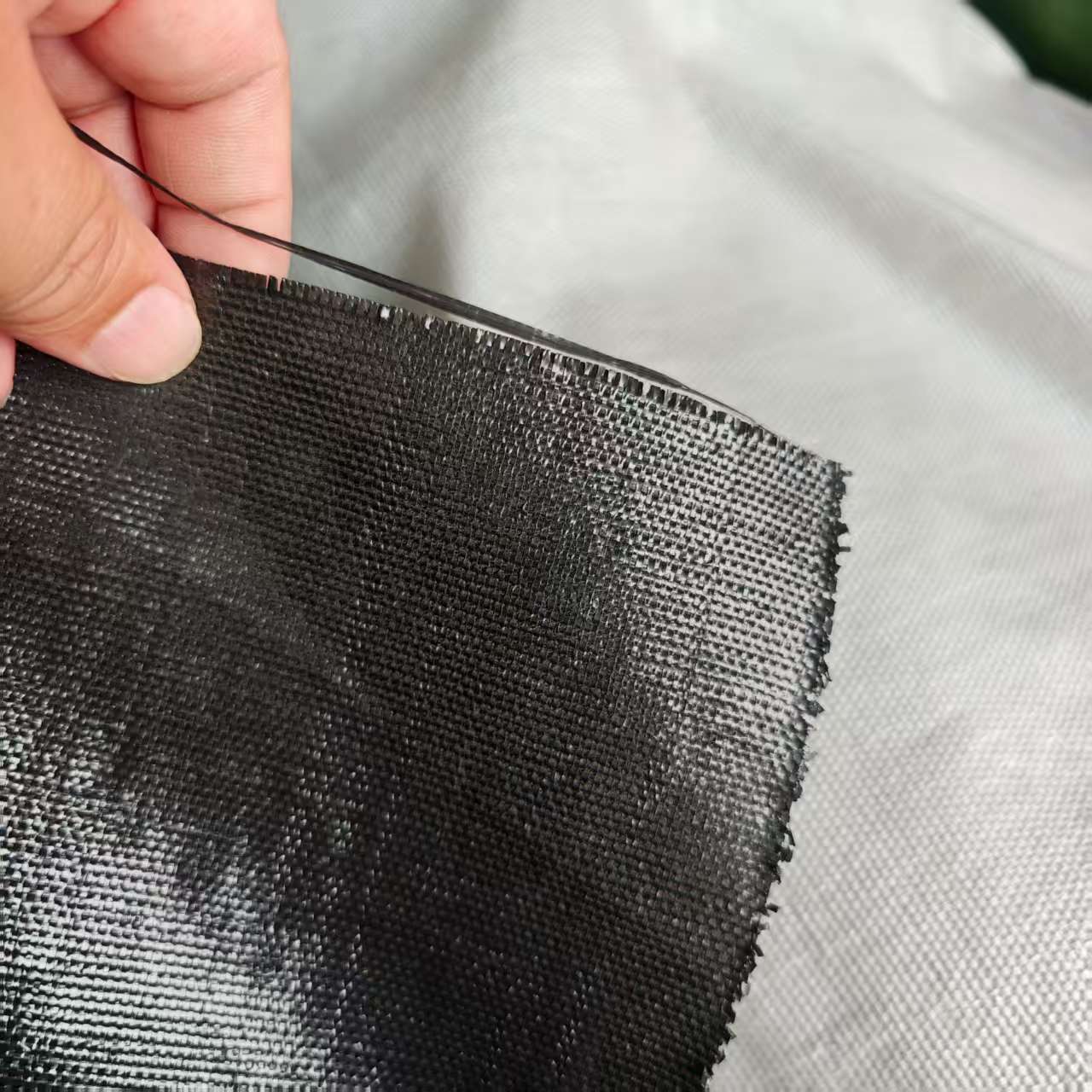 Company Quality Assurance and Development